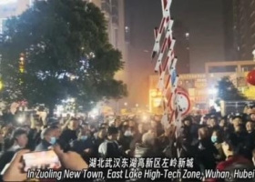 武汉千人抗争声势浩大 一夜连拆6小区收费杆